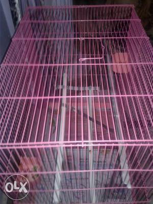 New big bird cage two days