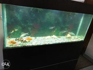 5 feet aquarium for sale with full set up with