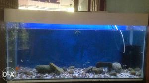 Aquarium,stand and all accessories for sale