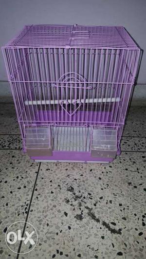 Bird Cage 2 month old