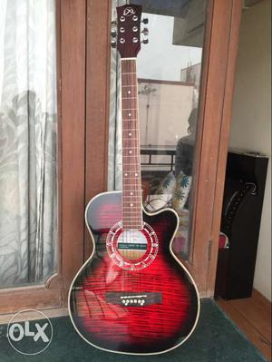 Brand new acoustic guitar with carry bag