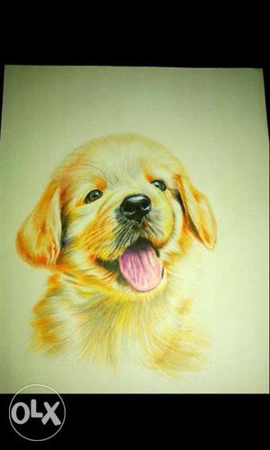 Colour pencil drawing of A4 size