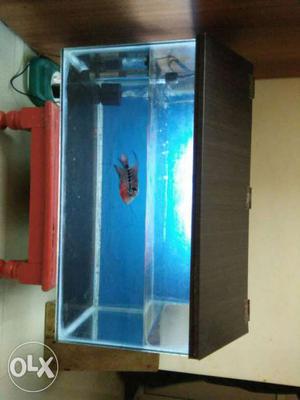 Fish tank in mira rd with oxygen machine, heater