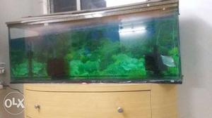 Fish tank with 2 big filters, oxygen machine and