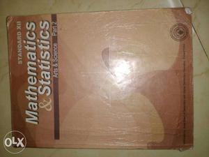 Mathematics And Statistics Book