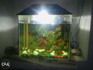 Only 2 months old fish tank with all accessories.