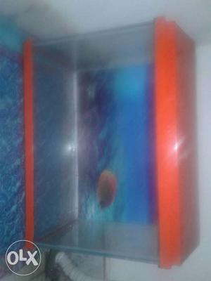 Orange Framed Fish Tank