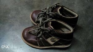 Boy;s Brown Leather Low Top Sneakers