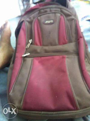 Pink And Beige Backpack