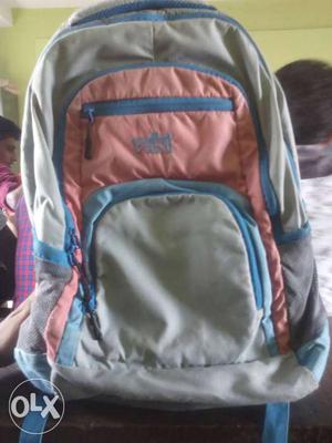 Pink And Gray Backpack