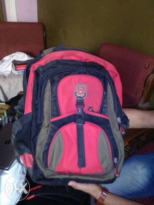 Pink, Black And Gray Backpack