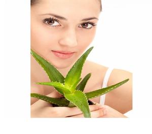 8 Wonderful Benefits Of Aloe Vera | For Health Hyderabad