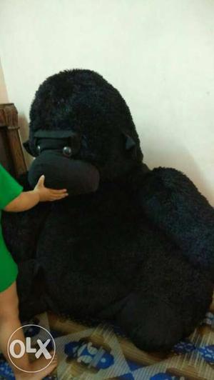 Black teddy on sale (75 cms height awesome condition)