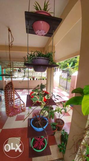 Hanging pot,5 pots,with plants