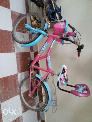 Pink And Blue Bicycle