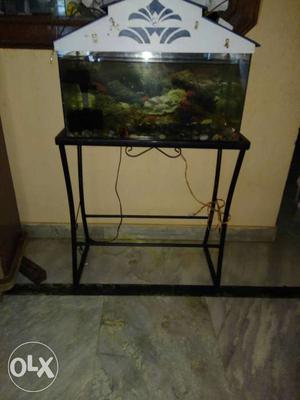 Aquarium + stand + machine full of 3 set only  with