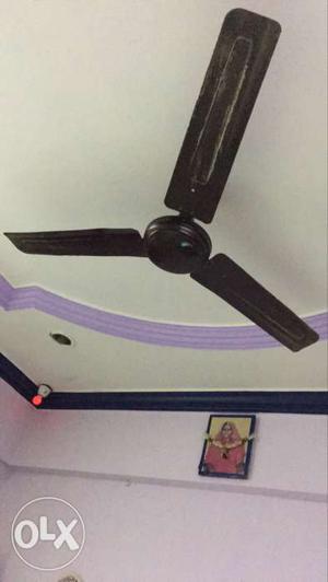Black Three Bladed Ceiling Fan