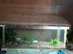 Fish aquarium with filter and top hut cover