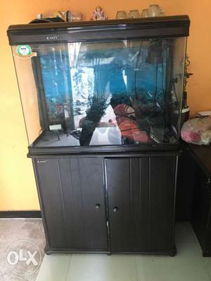 Fish tank for sales 1 year old