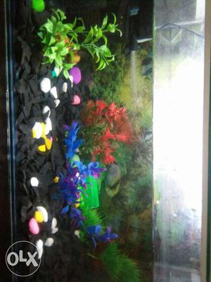 Fish tank in good condition and all stones and