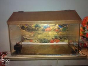 Fish tank with filter,light & wood finish roof size 1fit by