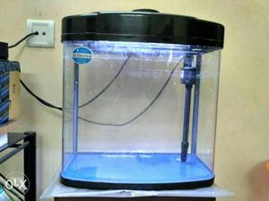 Imported fish aquarium with inbuilt filter