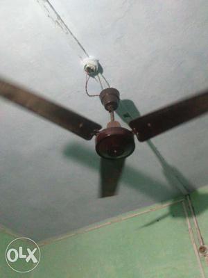 ORIENT PSPO celling fan