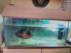 2feat fish tank with power motor and 8 inch