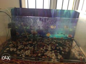 3ft fish tank bottom alone cracked.costs 500 to