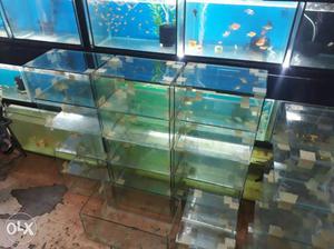 All size fishtanks set up with 6fishes and all