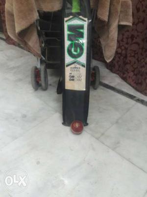 Black GM Cricket Bat