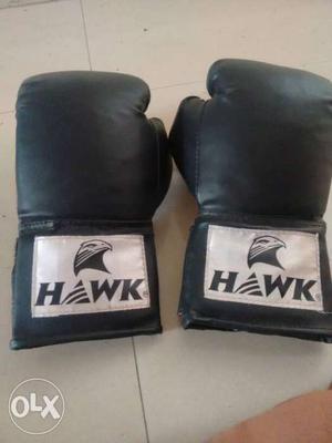 Black Hawk Boxing Gloves