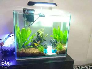 Brand new planted tank for sale wit filter light