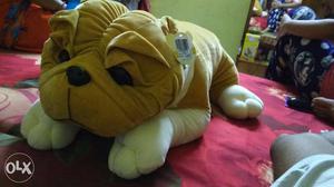 Bull dog soft toy. new and nice.