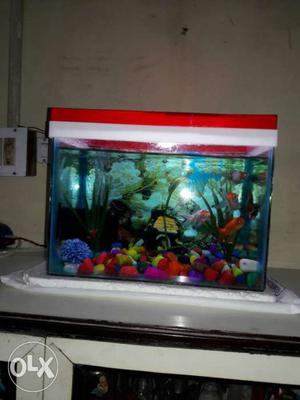 Fish tank + motor + decorative home + designer backdrop