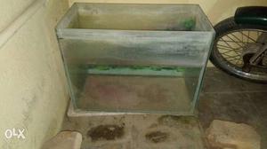 Fish tank with stones and submersible motor
