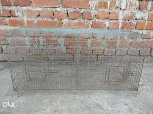Gray Wire Kennel