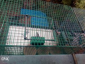 Green Steel Cage