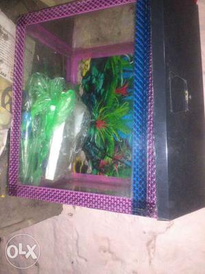 I want to sell aquarium set and filter in good