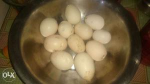 Pure Gavran Eggs