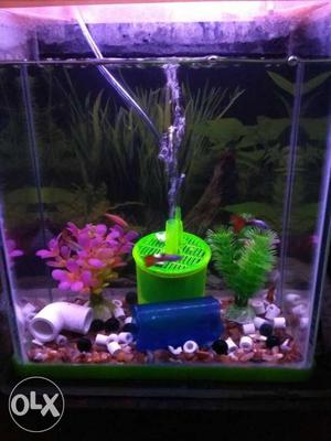 Small Fish tank 2 months used all accessories