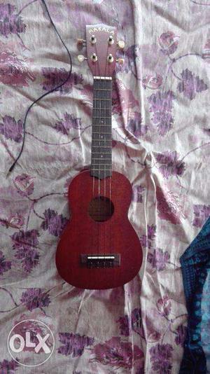 Ukulele - String instrument