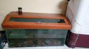 3 x 2 ft tank with 1 year old flowerhorn in very good