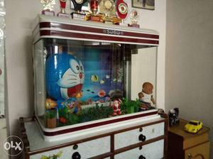 An aquarium in new condition, without fish,
