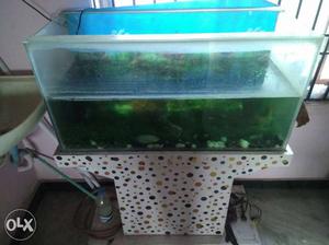 Fish tank good condition tank with stand