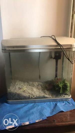 Medium size Fish Aquarium for home & Office