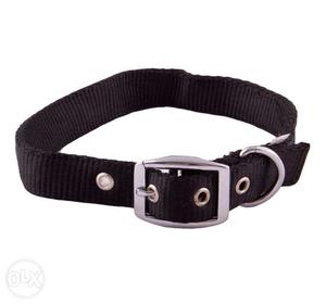 PUPPY'S Leash + Collar