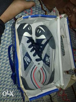Pair Of Gray Running Shoes In Box