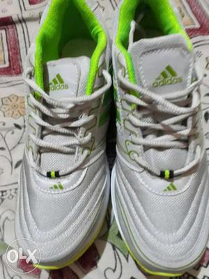 Pair Of White And Green Adidas Sneakers