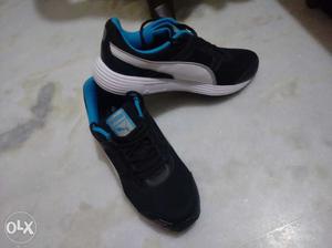 Puma harbour dp sports shoes, size uk-9 (wore